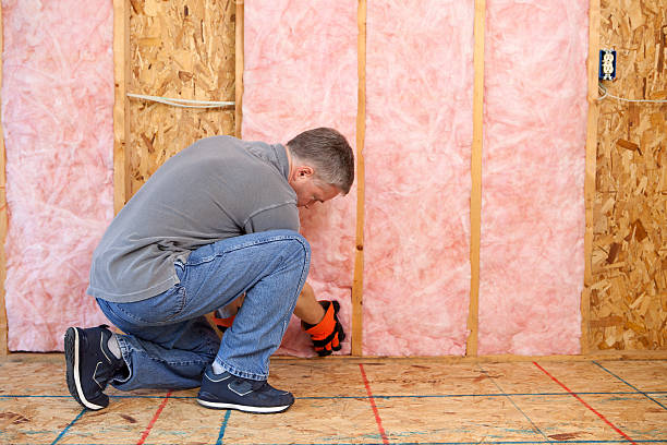 Best Insulation for Specific Applications in Mira Monte, CA